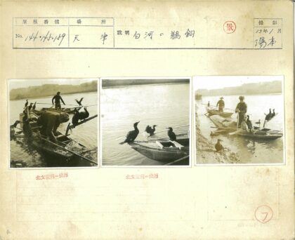 船上两人与岸鸟.jpg
