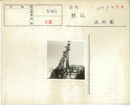 花叶丝带装饰的室外建筑.jpg