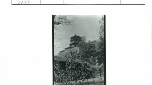 花园古建筑黑白摄影.jpg
