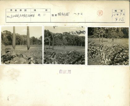 花园种植者与自然景色.jpg