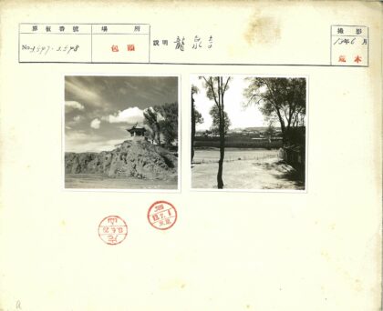 花园篱笆与树荫建筑景观.jpg