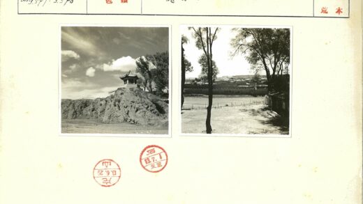 花园篱笆与树荫建筑景观.jpg