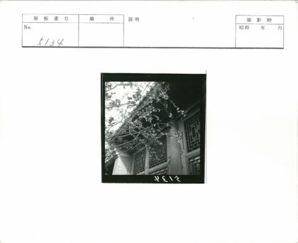 花枝掩映的华丽建筑窗景.jpg