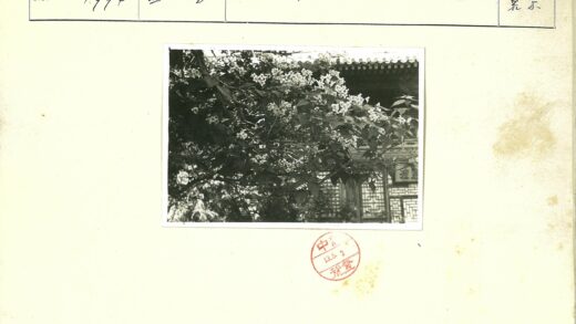 花簇与古建装饰纹样.jpg