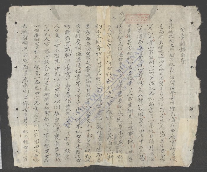 芸台类语(q.)-