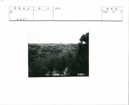 茂密植被覆盖的传统屋顶景观.jpg