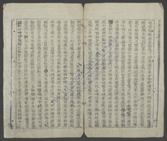范公新传-