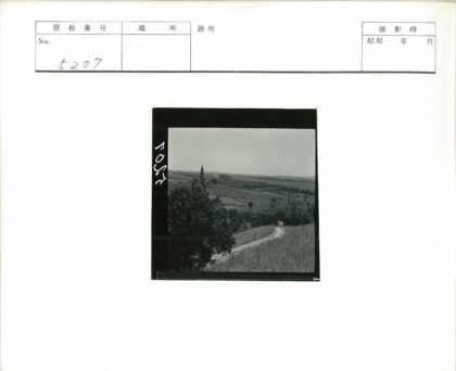 草地小路散步远眺宝塔.jpg