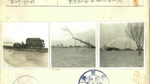 荒原倒树与人群远景.jpg