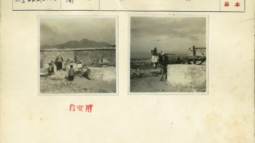 荒野驴拉磨石群山背影.jpg