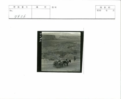 荒野驴车土路行.jpg
