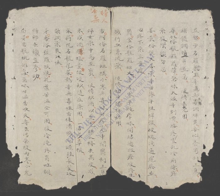 药品南名气味正治歌括-