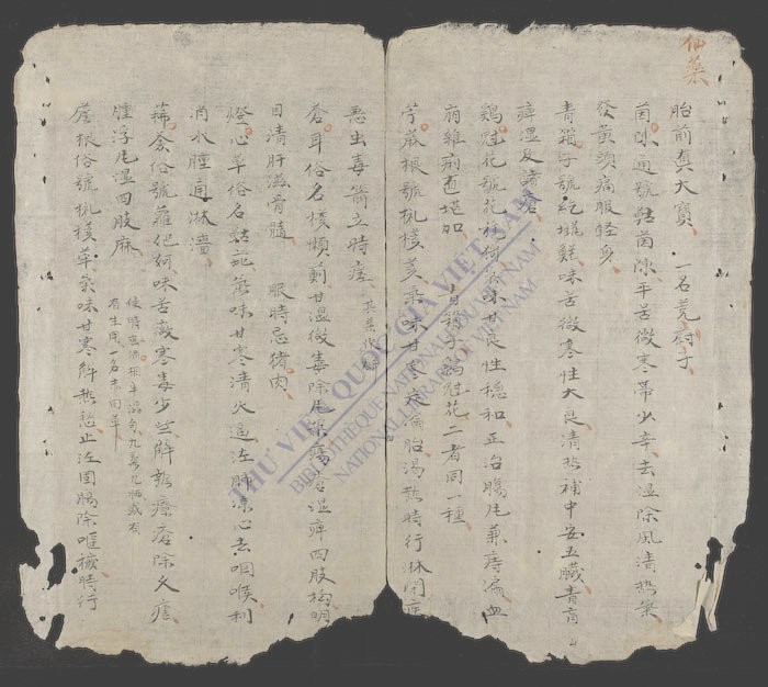 药品南名气味正治歌括-