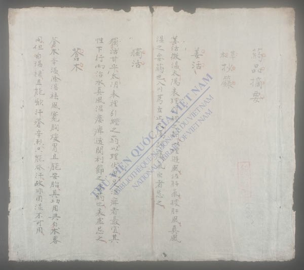 药品摘要-