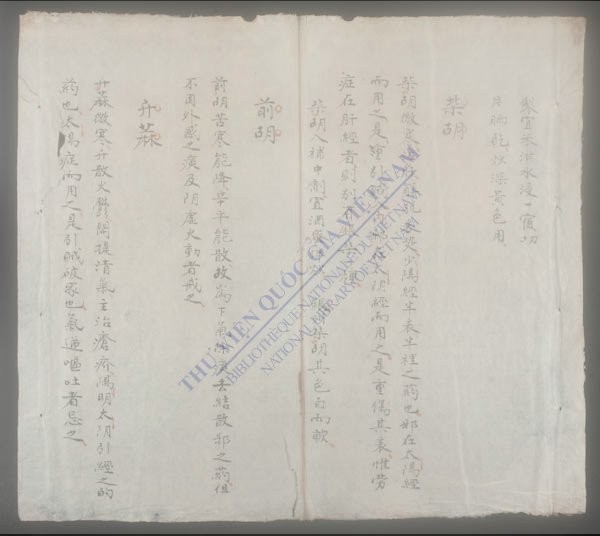 药品摘要-