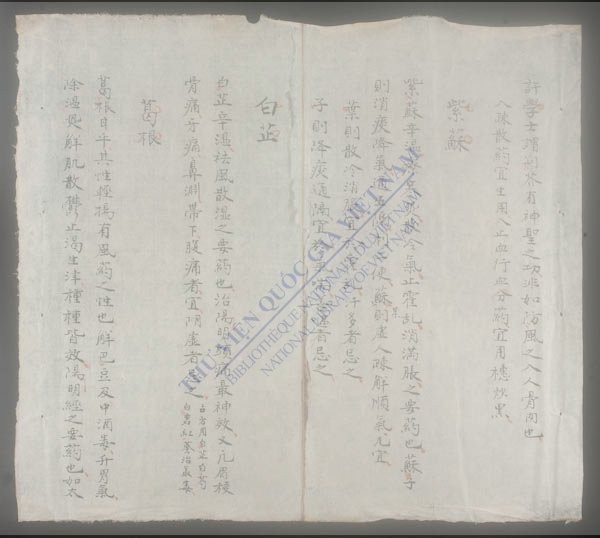 药品摘要-