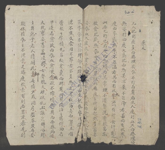 药文-