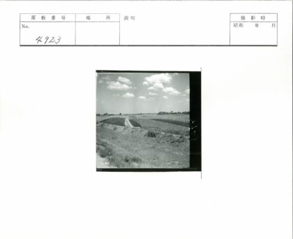 薄云田野土路杆子风光.jpg