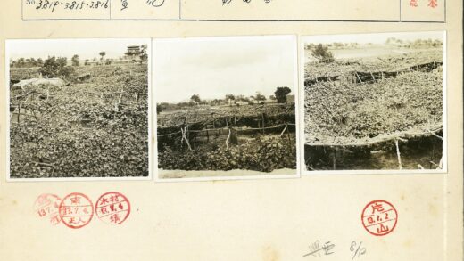 藤棚田野山丘多云天空.jpg