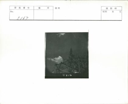 藤蔓覆盖的木结构阴云天.jpg