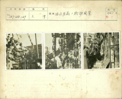 街头小贩植物鲜花.jpg