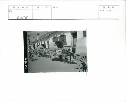 街景马车与自行车同行.jpg