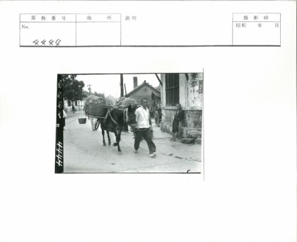 街边牵马负重行人.jpg
