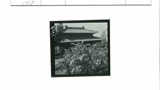 装饰屋顶传统建筑绿荫前景.jpg
