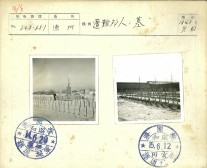 贫瘠田野上的木桩与建筑.jpg