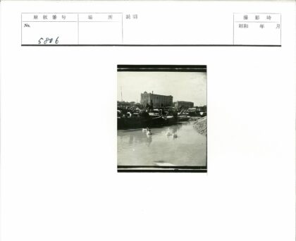 运河天鹅与工业建筑景色.jpg