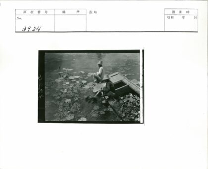 采莲人泛舟睡莲湖.jpg