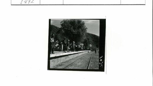 铁路站台人群举旗山树背景.jpg