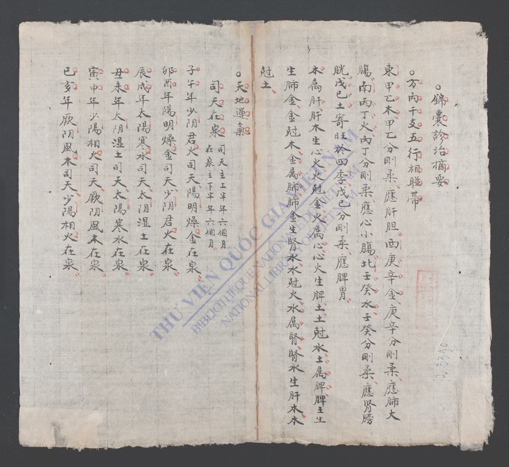 锦囊诊治摘要-