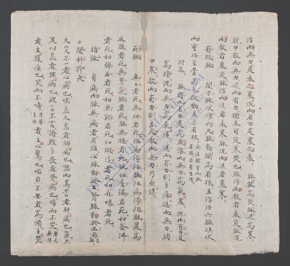 锦囊诊治摘要-