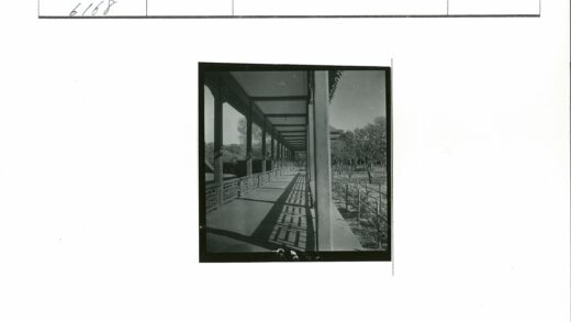 长廊光影与自然景观.jpg