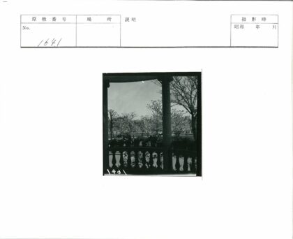 门廊花盆与晴空景致.jpg