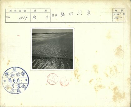 阳光海岸线与城市天际线.jpg