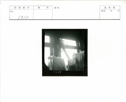 阳光窗台包裹花束照.jpg