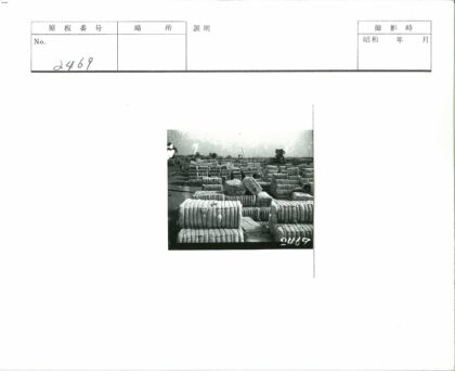 阴天田野棉花捆与建筑树木.jpg
