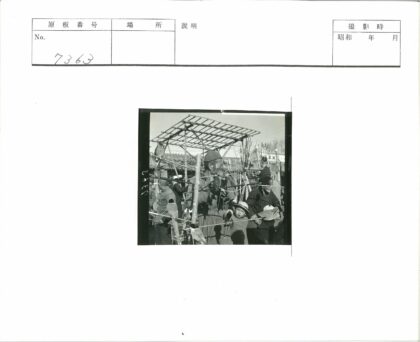 集市人群与树上小鸟互动.jpg