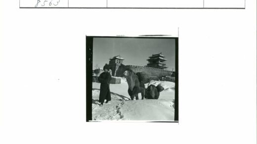 雪中骆驼与传统建筑.jpg