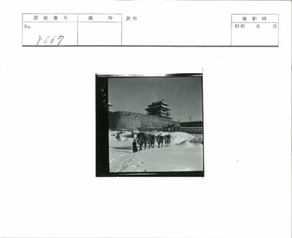 雪中骆驼商队穿越古城.jpg