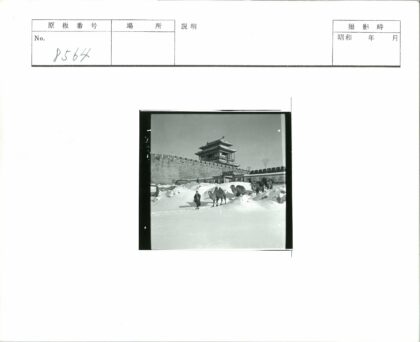 雪地骆驼与古城堡.jpg