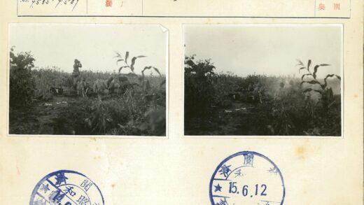 雾中士兵集结田野.jpg