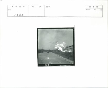 静谧乡村道路与瓦房风光.jpg