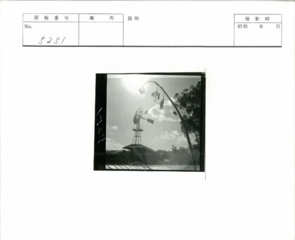风车与枯葵黑白风光.jpg
