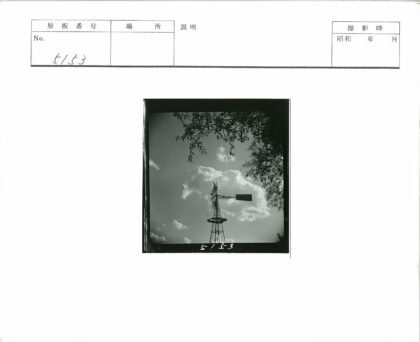 风车剪影与云天下树枝.jpg
