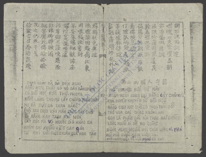 马竜马凤新厨(q.)-