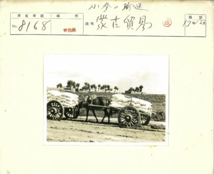 马车拉货行走乡间土路.jpg