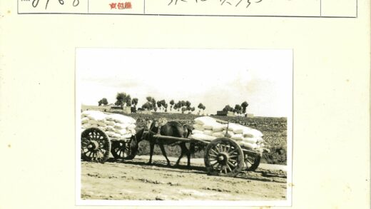 马车拉货行走乡间土路.jpg